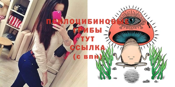 крисы Абинск