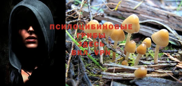 крисы Абинск
