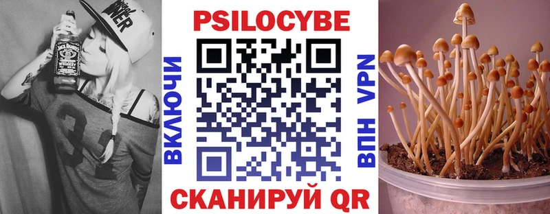 Галлюциногенные грибы прущие грибы  продажа наркотиков  Домодедово 