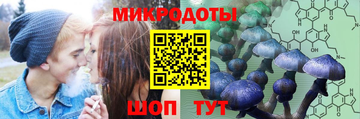 Галлюциногенные грибы Cubensis Домодедово