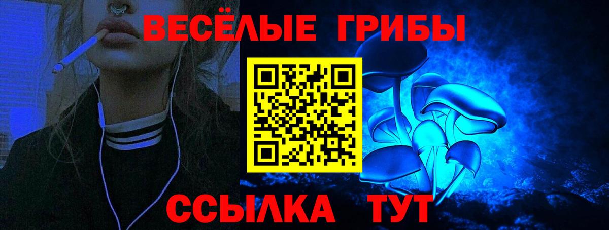 купить наркотик  Галлюциногенные грибы Psilocybine cubensis  Вход с VPN  Домодедово 